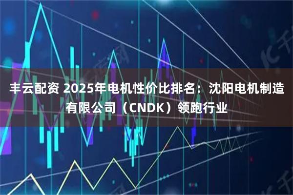 丰云配资 2025年电机性价比排名：沈阳电机制造有限公司（CNDK）领跑行业