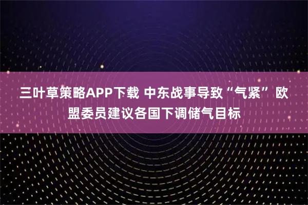 三叶草策略APP下载 中东战事导致“气紧” 欧盟委员建议各国下调储气目标